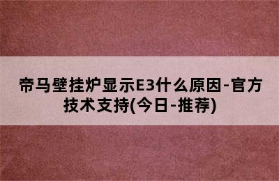 帝马壁挂炉显示E3什么原因-官方技术支持(今日-推荐)