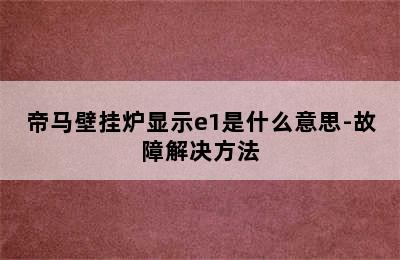 帝马壁挂炉显示e1是什么意思-故障解决方法