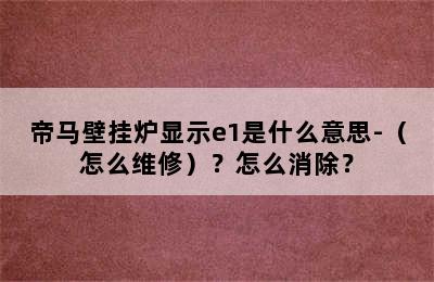 帝马壁挂炉显示e1是什么意思-（怎么维修）？怎么消除？