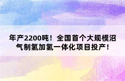 年产2200吨！全国首个大规模沼气制氢加氢一体化项目投产！