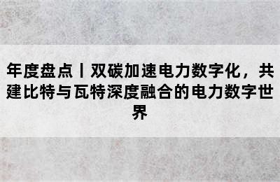 年度盘点丨双碳加速电力数字化，共建比特与瓦特深度融合的电力数字世界