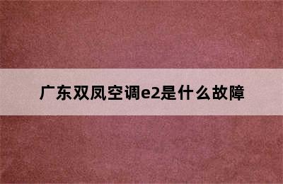 广东双凤空调e2是什么故障