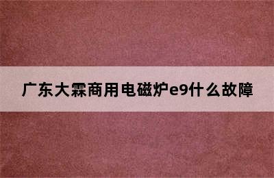 广东大霖商用电磁炉e9什么故障