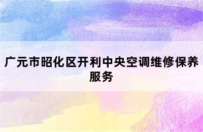 广元市昭化区开利中央空调维修保养服务