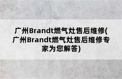 广州Brandt燃气灶售后维修(广州Brandt燃气灶售后维修专家为您解答)