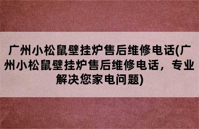 广州小松鼠壁挂炉售后维修电话(广州小松鼠壁挂炉售后维修电话，专业解决您家电问题)