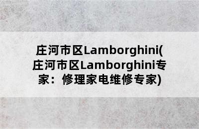 庄河市区Lamborghini(庄河市区Lamborghini专家：修理家电维修专家)