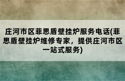 庄河市区菲思盾壁挂炉服务电话(菲思盾壁挂炉维修专家，提供庄河市区一站式服务)