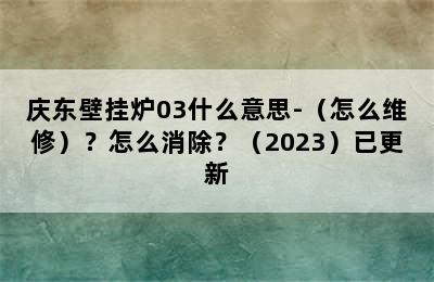 庆东壁挂炉03什么意思-（怎么维修）？怎么消除？（2023）已更新