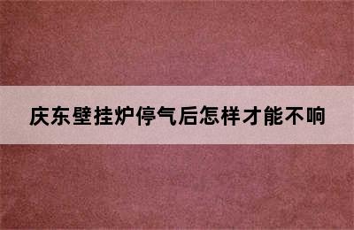 庆东壁挂炉停气后怎样才能不响