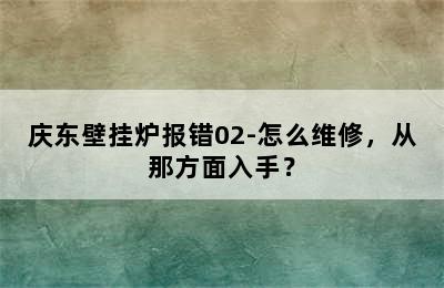 庆东壁挂炉报错02-怎么维修，从那方面入手？