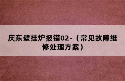 庆东壁挂炉报错02-（常见故障维修处理方案）