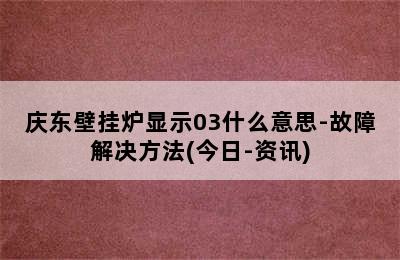 庆东壁挂炉显示03什么意思-故障解决方法(今日-资讯)