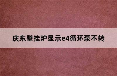 庆东壁挂炉显示e4循环泵不转