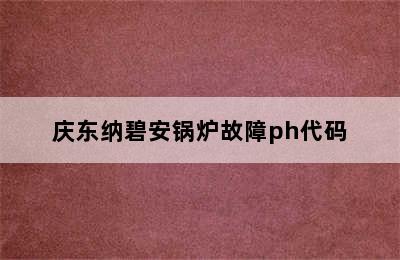 庆东纳碧安锅炉故障ph代码