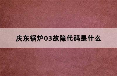 庆东锅炉03故障代码是什么