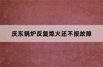 庆东锅炉反复熄火还不报故障