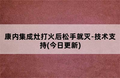 康内集成灶打火后松手就灭-技术支持(今日更新)