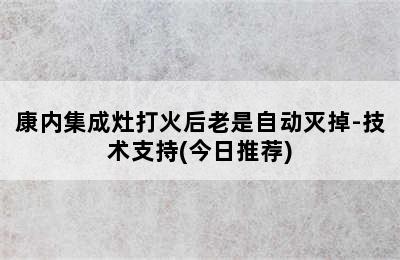 康内集成灶打火后老是自动灭掉-技术支持(今日推荐)