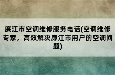 廉江市空调维修服务电话(空调维修专家，高效解决廉江市用户的空调问题)