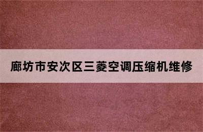 廊坊市安次区三菱空调压缩机维修