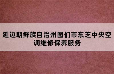 延边朝鲜族自治州图们市东芝中央空调维修保养服务