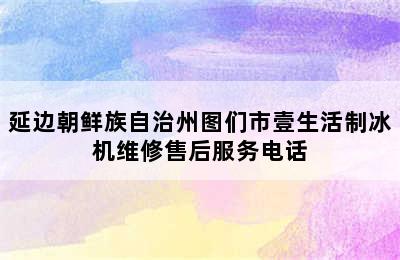 延边朝鲜族自治州图们市壹生活制冰机维修售后服务电话