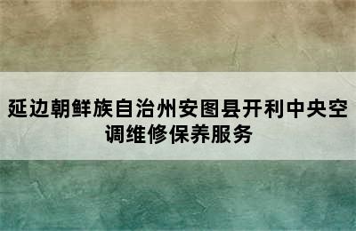 延边朝鲜族自治州安图县开利中央空调维修保养服务