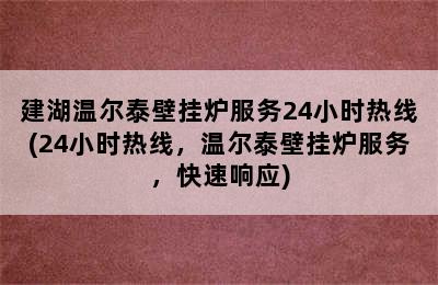 建湖温尔泰壁挂炉服务24小时热线(24小时热线，温尔泰壁挂炉服务，快速响应)