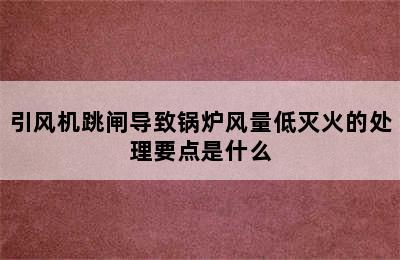 引风机跳闸导致锅炉风量低灭火的处理要点是什么