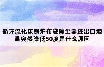 循环流化床锅炉布袋除尘器进出口烟温突然降低50度是什么原因