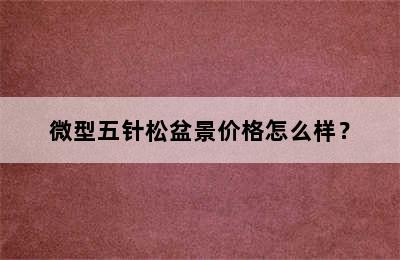 微型五针松盆景价格怎么样？