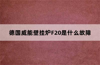 德国威能壁挂炉F20是什么故障