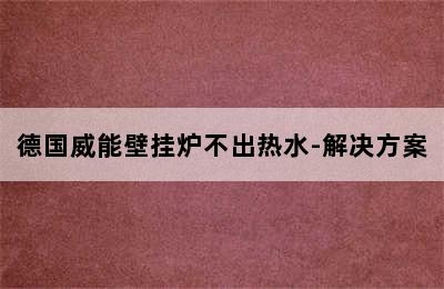 德国威能壁挂炉不出热水-解决方案