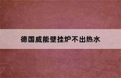 德国威能壁挂炉不出热水