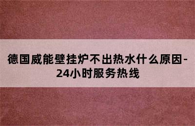 德国威能壁挂炉不出热水什么原因-24小时服务热线