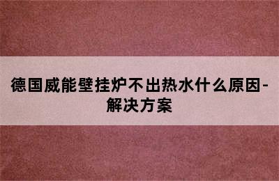 德国威能壁挂炉不出热水什么原因-解决方案