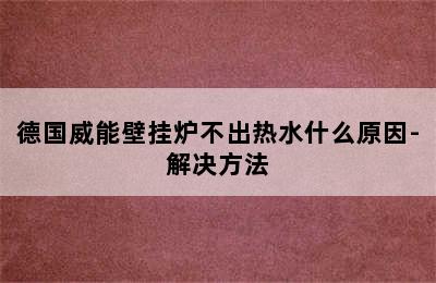 德国威能壁挂炉不出热水什么原因-解决方法