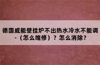 德国威能壁挂炉不出热水冷水不能调-（怎么维修）？怎么消除？