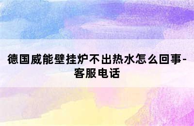 德国威能壁挂炉不出热水怎么回事-客服电话