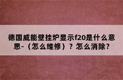 德国威能壁挂炉显示f20是什么意思-（怎么维修）？怎么消除？