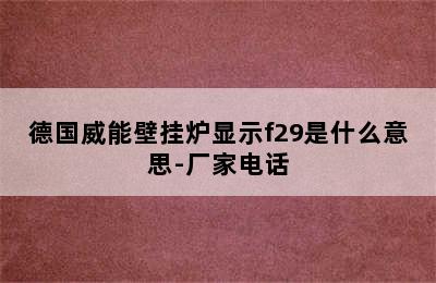 德国威能壁挂炉显示f29是什么意思-厂家电话