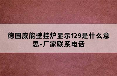 德国威能壁挂炉显示f29是什么意思-厂家联系电话