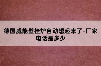 德国威能壁挂炉自动想起来了-厂家电话是多少