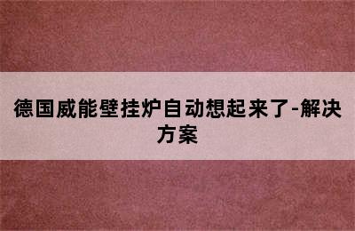 德国威能壁挂炉自动想起来了-解决方案