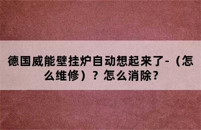 德国威能壁挂炉自动想起来了-（怎么维修）？怎么消除？