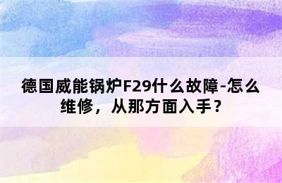 德国威能锅炉F29什么故障-怎么维修，从那方面入手？