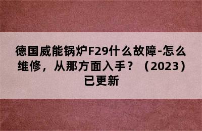 德国威能锅炉F29什么故障-怎么维修，从那方面入手？（2023）已更新