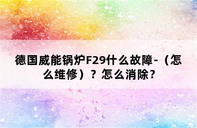 德国威能锅炉F29什么故障-（怎么维修）？怎么消除？