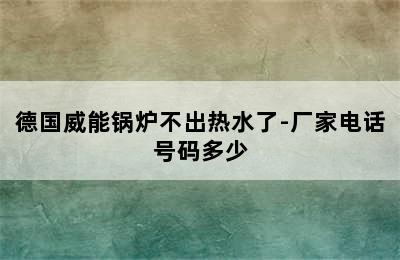 德国威能锅炉不出热水了-厂家电话号码多少